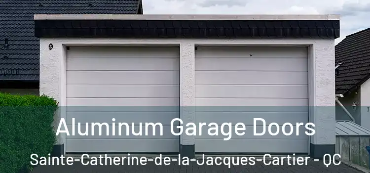  Aluminum Garage Doors Sainte-Catherine-de-la-Jacques-Cartier - QC