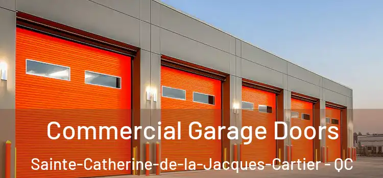  Commercial Garage Doors Sainte-Catherine-de-la-Jacques-Cartier - QC