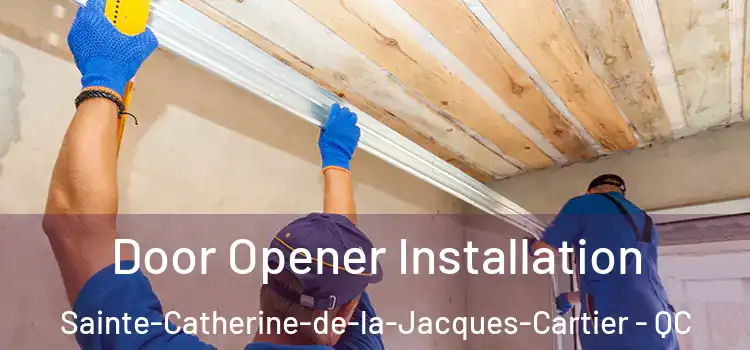  Door Opener Installation Sainte-Catherine-de-la-Jacques-Cartier - QC