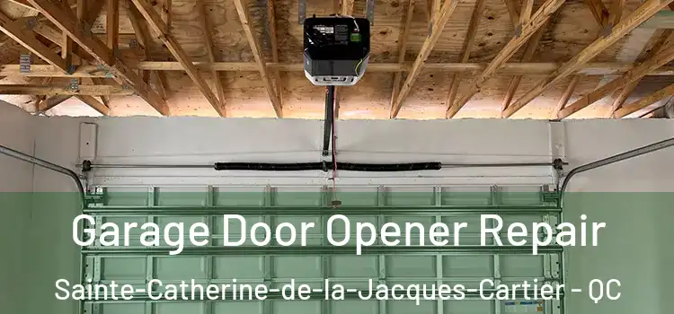  Garage Door Opener Repair Sainte-Catherine-de-la-Jacques-Cartier - QC