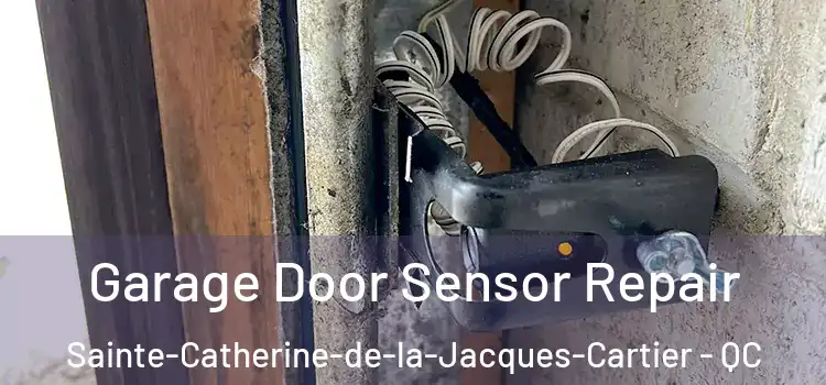 Garage Door Sensor Repair Sainte-Catherine-de-la-Jacques-Cartier - QC