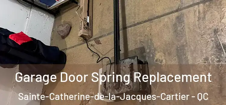  Garage Door Spring Replacement Sainte-Catherine-de-la-Jacques-Cartier - QC