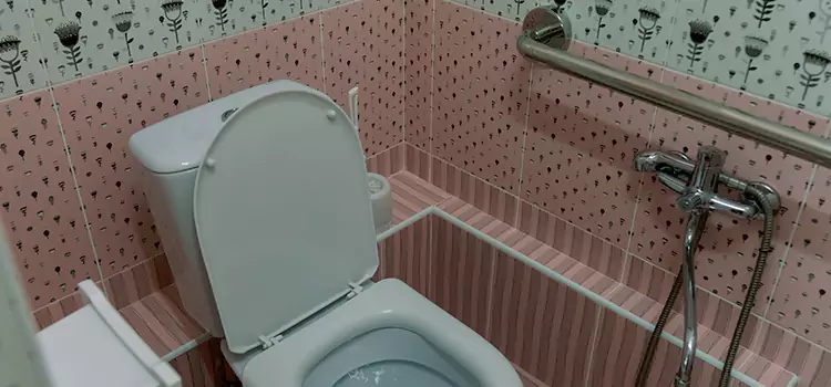 Meeting Diverse Needs With Accessible Restroom Solutions in Sainte-Catherine-de-la-Jacques-Cartier, QC