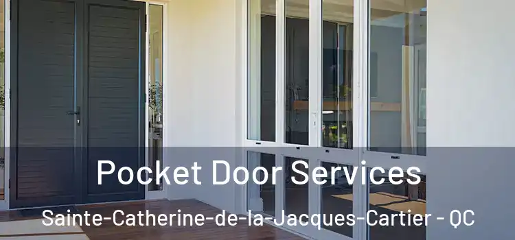  Pocket Door Services Sainte-Catherine-de-la-Jacques-Cartier - QC