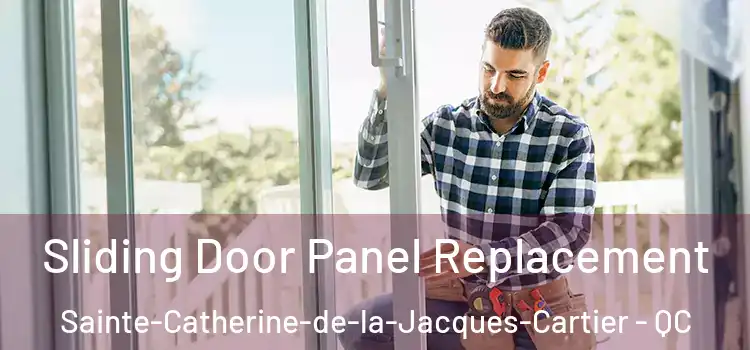  Sliding Door Panel Replacement Sainte-Catherine-de-la-Jacques-Cartier - QC